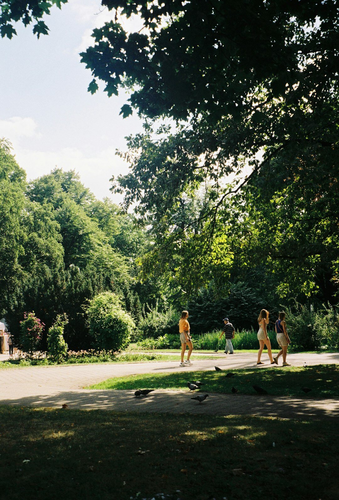 person walking in park